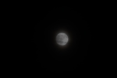 DSC00841