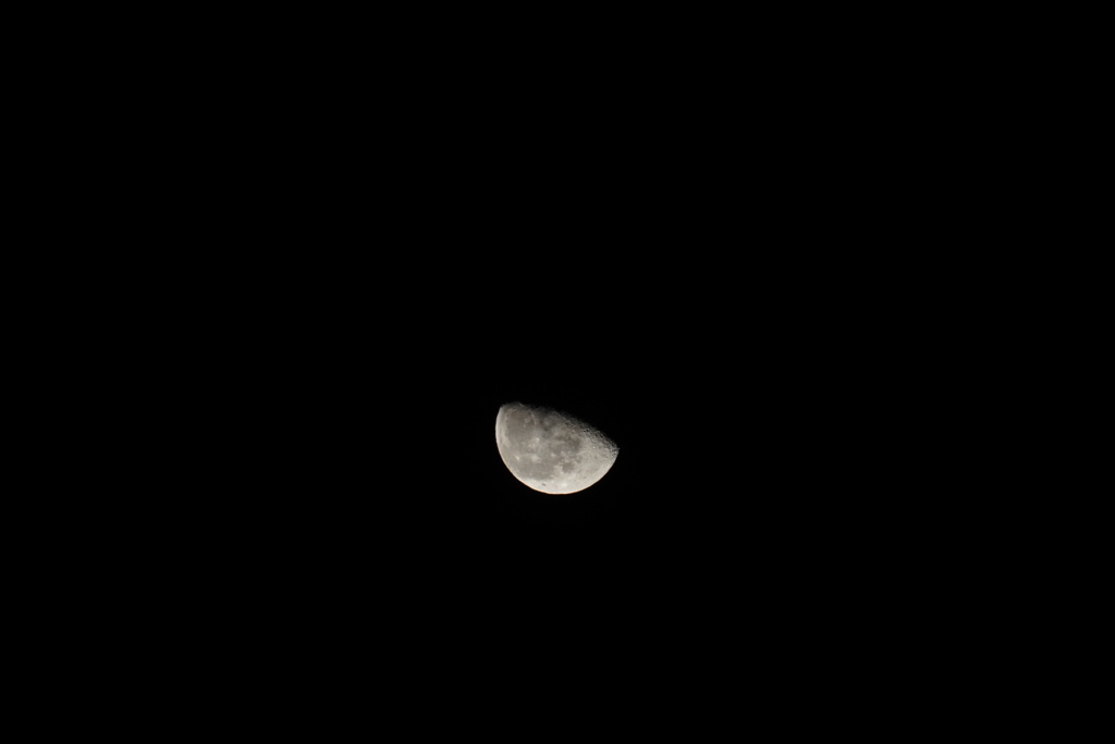 DSC01528_2