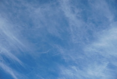 DSC01528_1