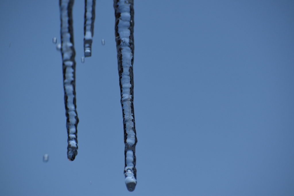 DSC_0985_3