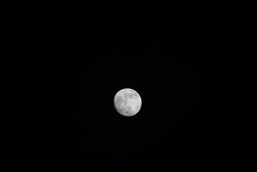 DSC02850_1