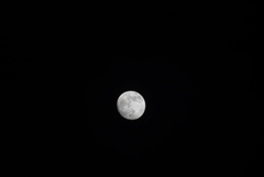 DSC02850_1