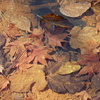 DSC04924