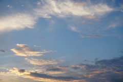 DSC03256