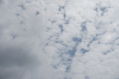 DSC01195