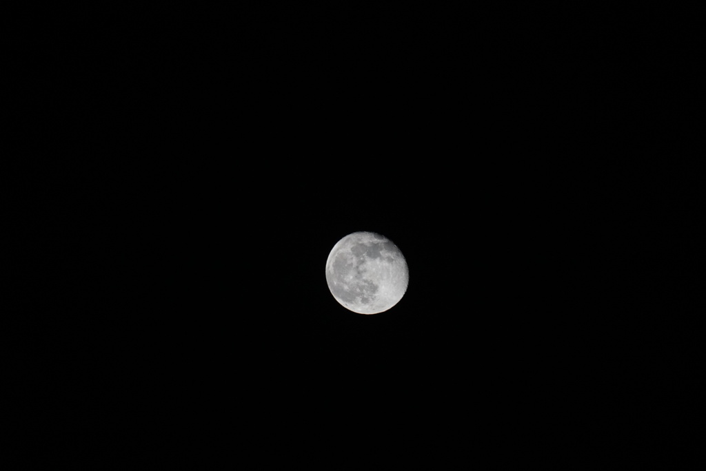 DSC08605_1