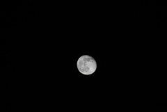 DSC08605_1