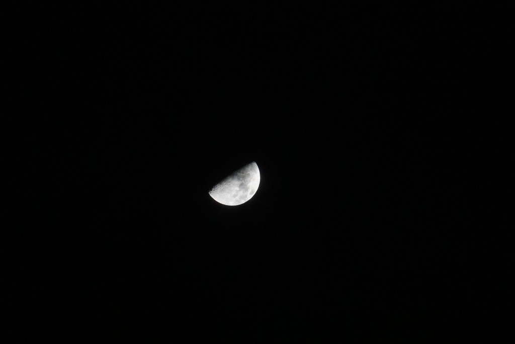 DSC06097_1