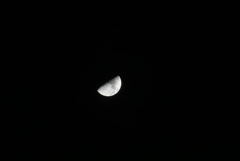 DSC06097_1