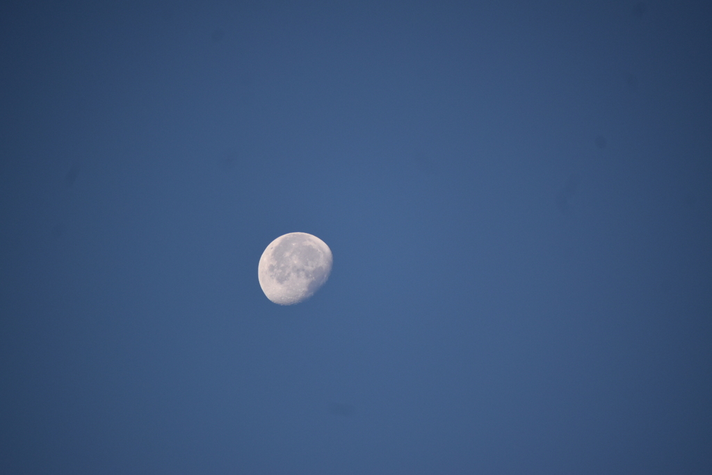 青空に浮かぶ月