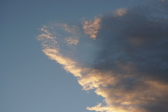 DSC01796