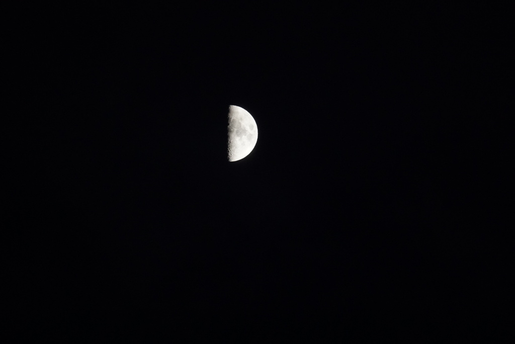 DSC02370_1