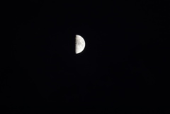 DSC02370_1
