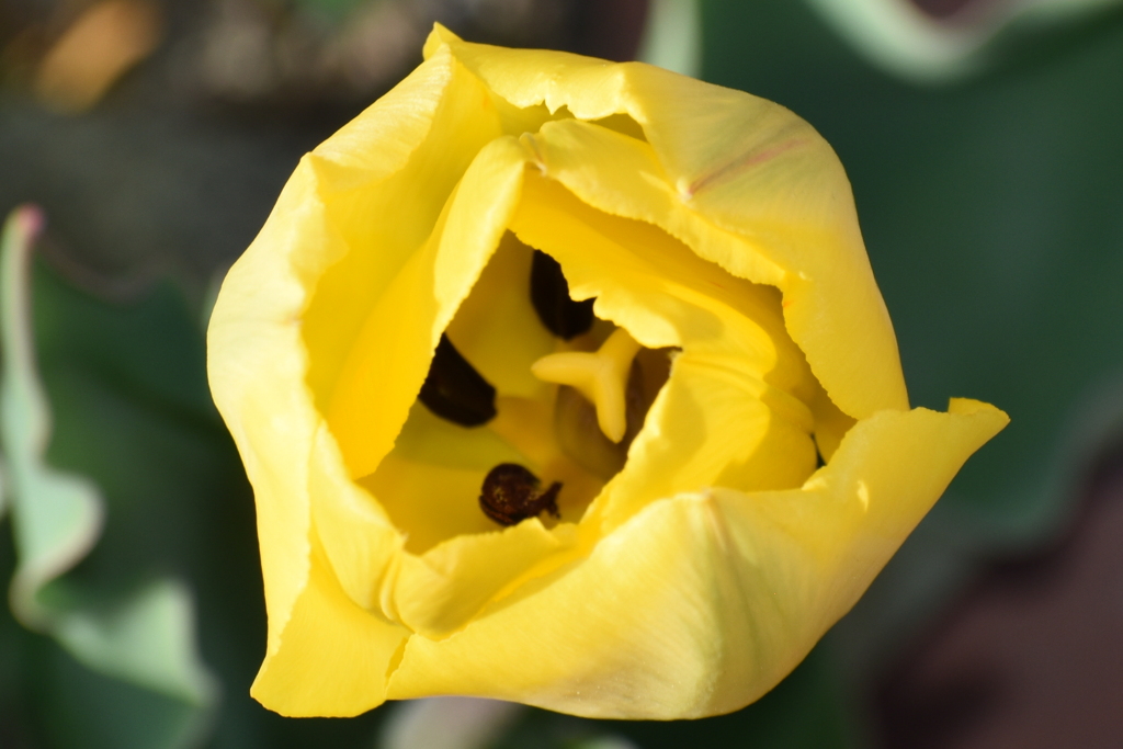 DSC_1911