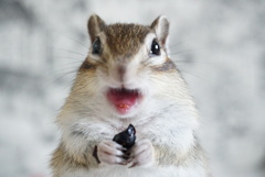 笑って見えます(^_^)