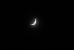 DSC02220_1