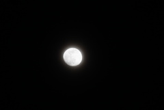 DSC06480