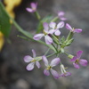 DSC01850