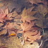 DSC04925