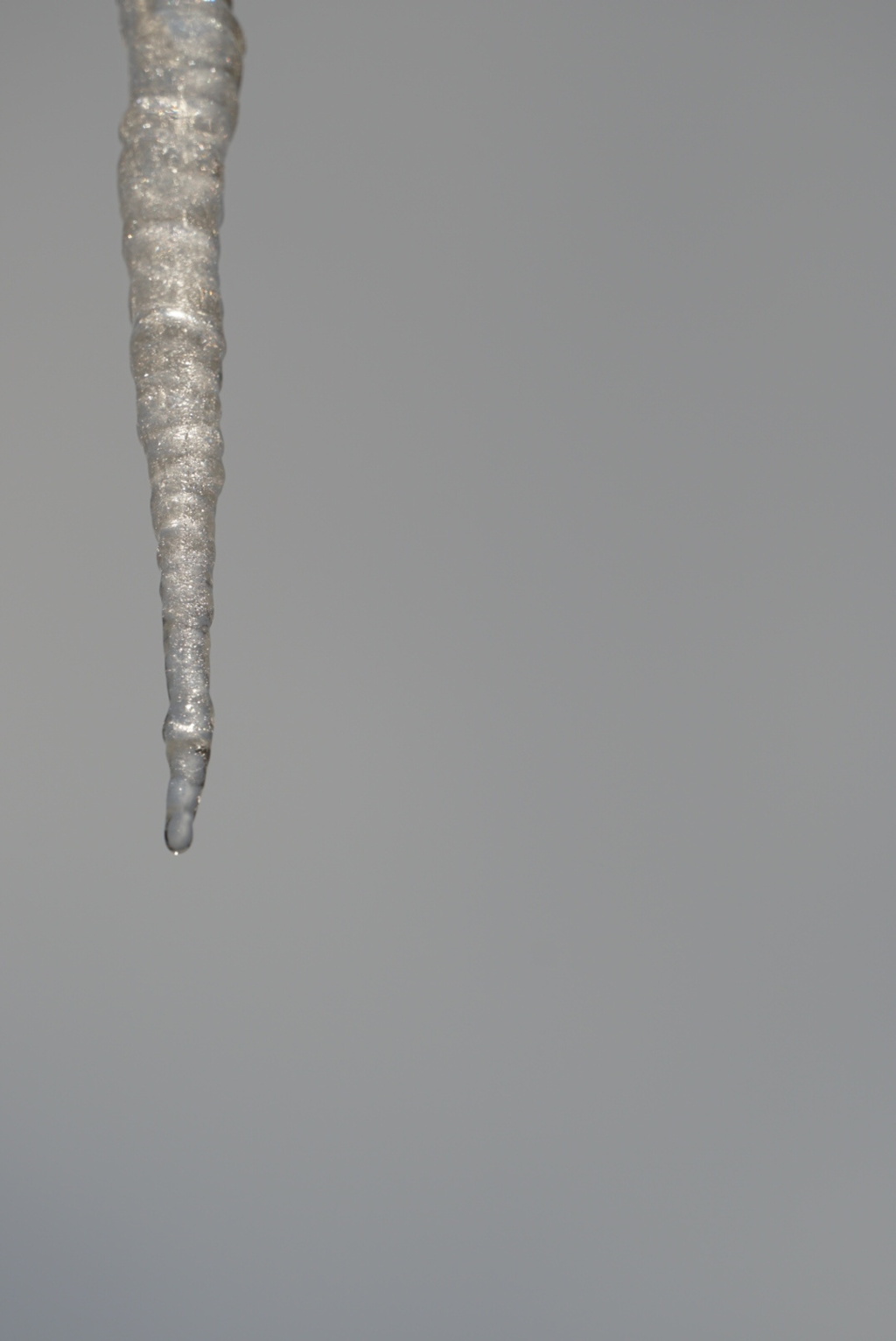 DSC03387