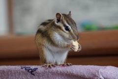 DSC04876