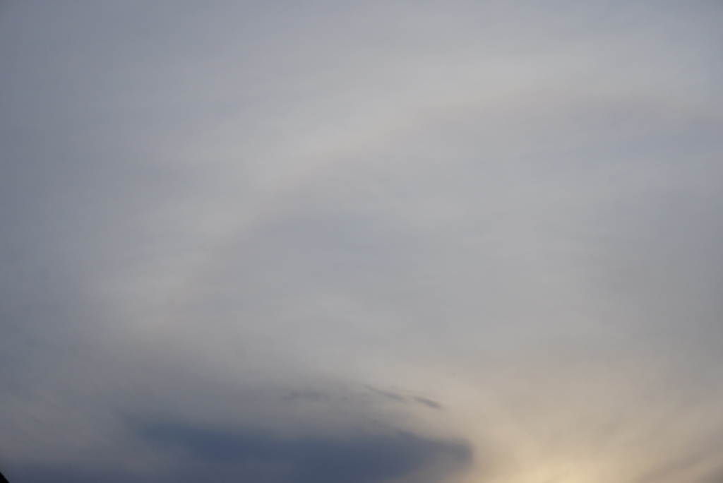 DSC07586_1