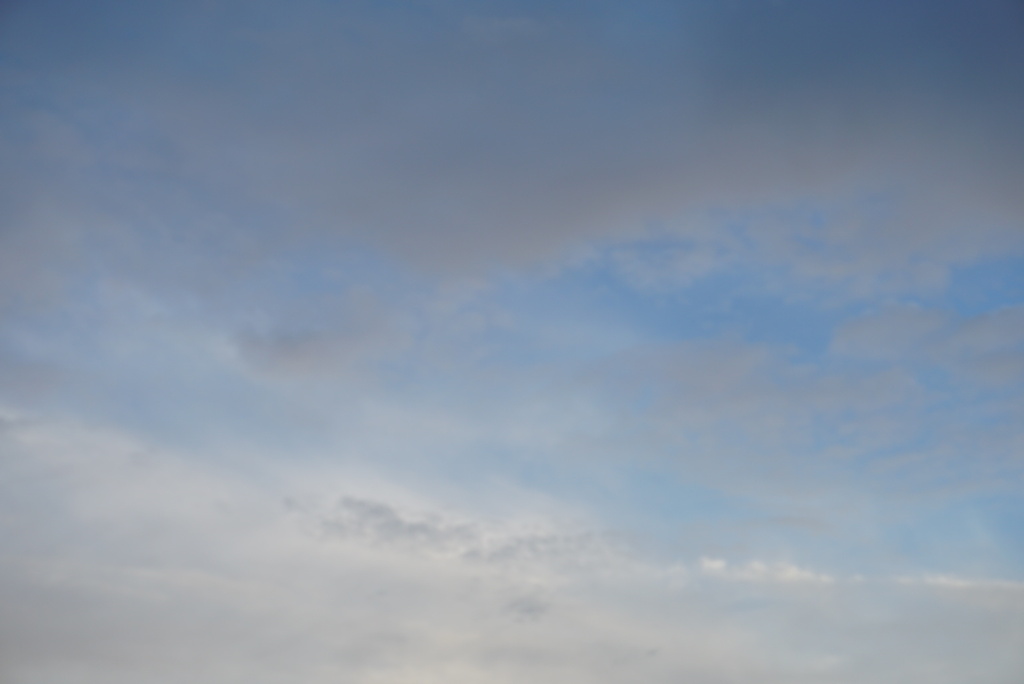 DSC00085_1