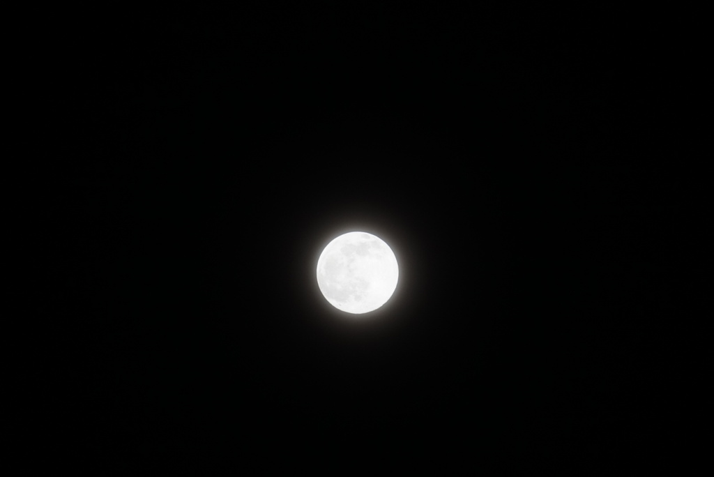 DSC04684