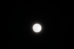 DSC04684