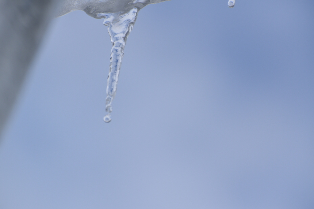 DSC_1033