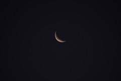 DSC01692