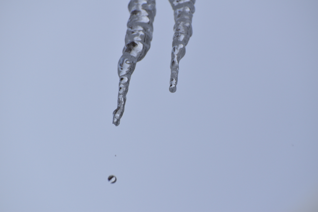 DSC_0994_8