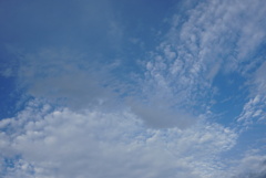 DSC07502_1