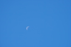DSC06776