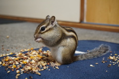 DSC05450
