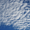 DSC01651_1