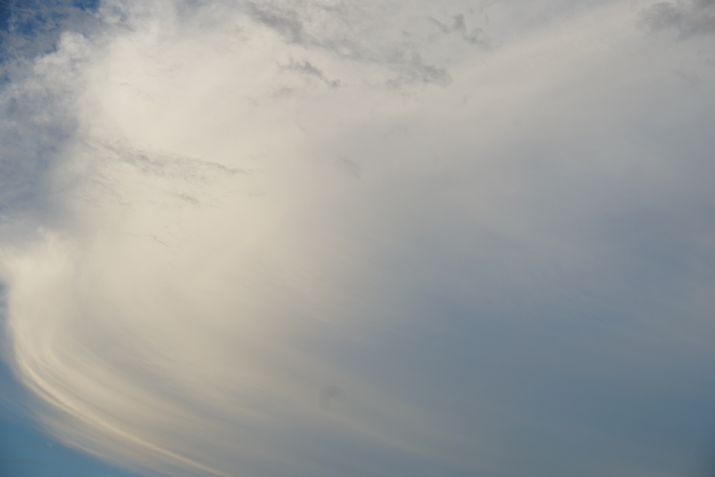 DSC07519_1