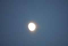 DSC00803_1