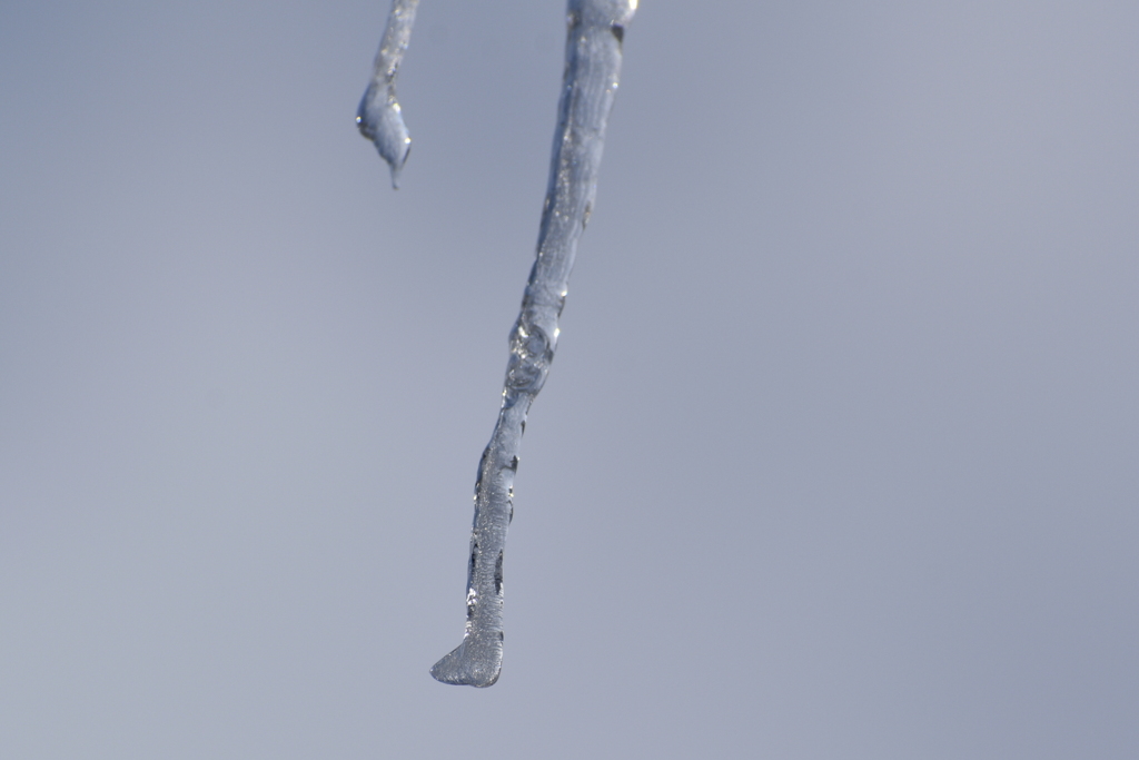 DSC_4302