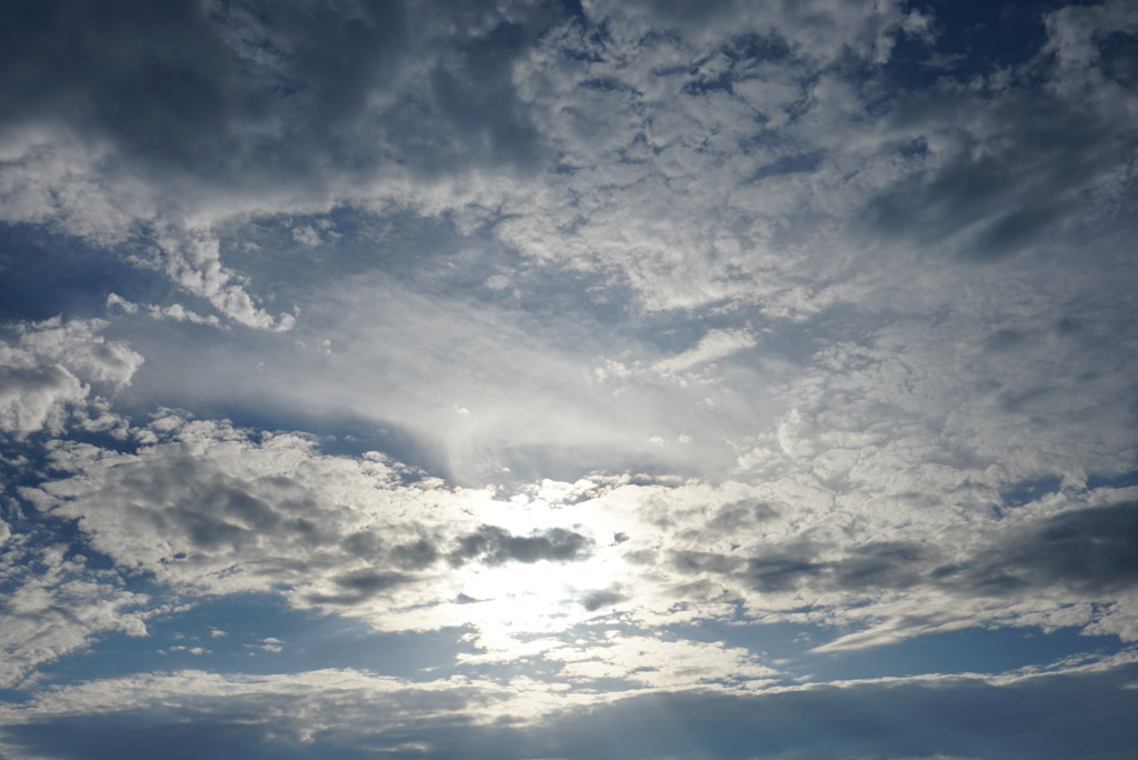 DSC06545_1