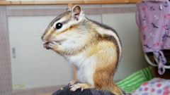 IMG_20230402_130749