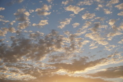 DSC07518_1
