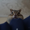 DSC03276