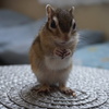 DSC05084