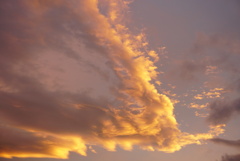 DSC08080