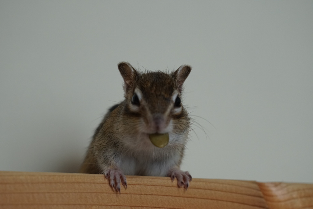 DSC00169