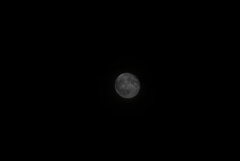 DSC06096