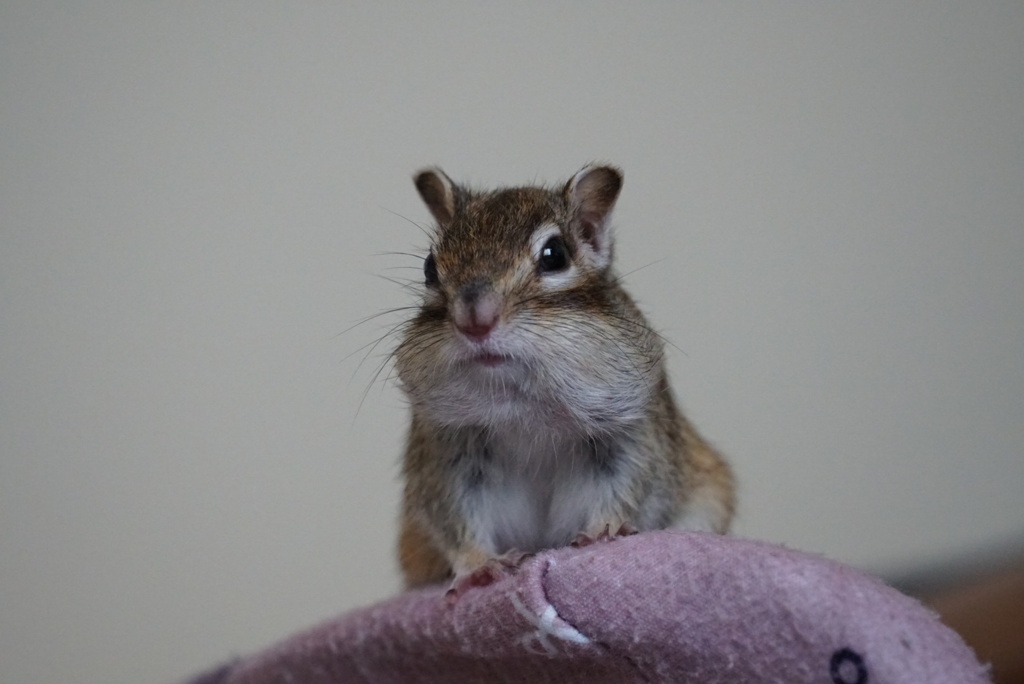 DSC05799