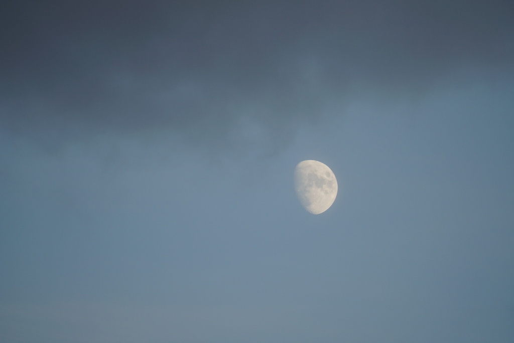 DSC00528_3
