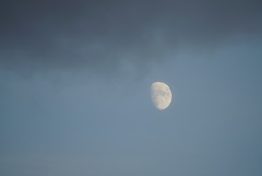 DSC00528_3